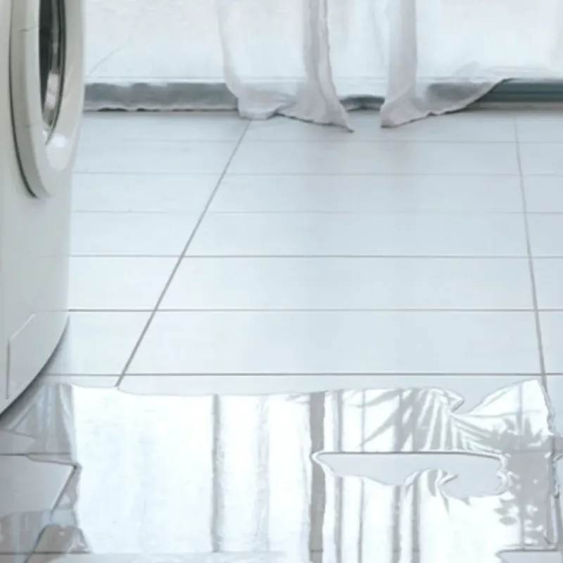 Appliance Leak Cleanup in Covington, OH