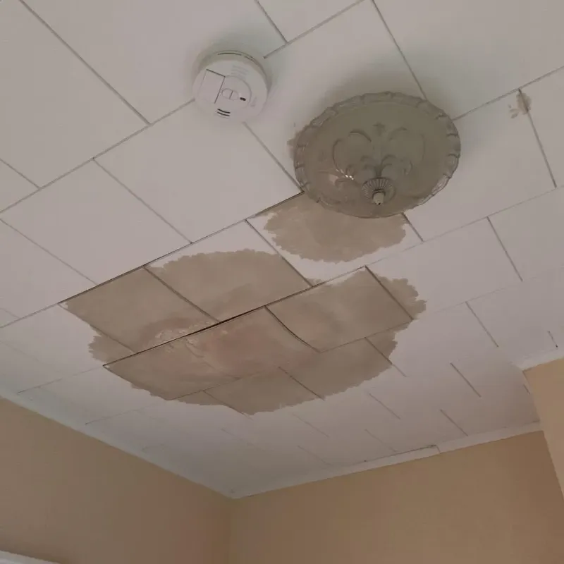 Ceiling Water Damage Repair in Covington, OH
