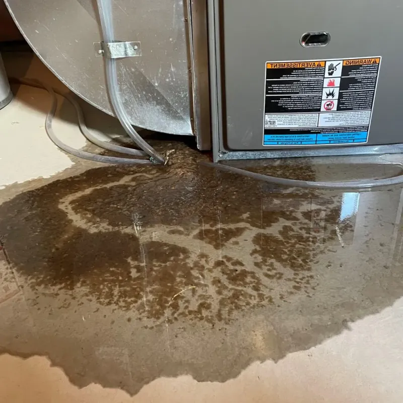 Pipe Burst and Leak Restoration in Covington, OH