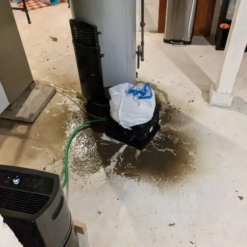 Sewage Backup Cleanup Service in Covington, OH